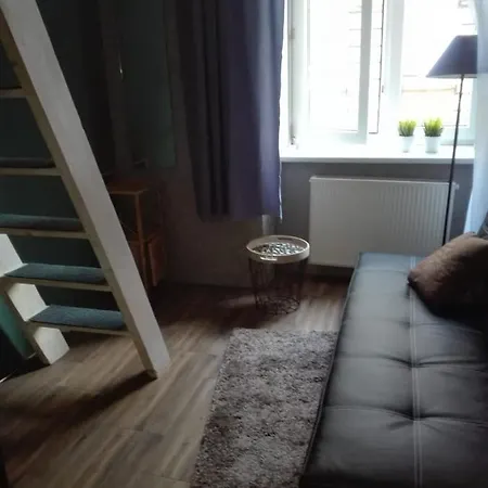 Apartament Radziwillowska 25, One-bedroom Kraków